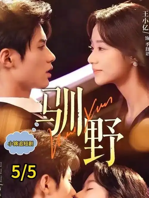 山海情 戈壁新家园画廊图